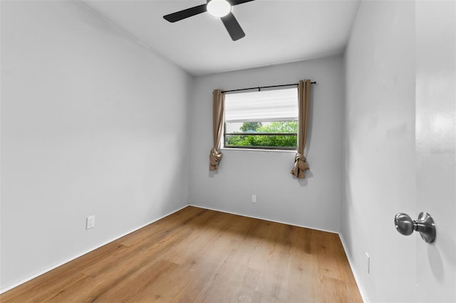 401 Elm Dr, Casselberry, FL 32707 - photo 27