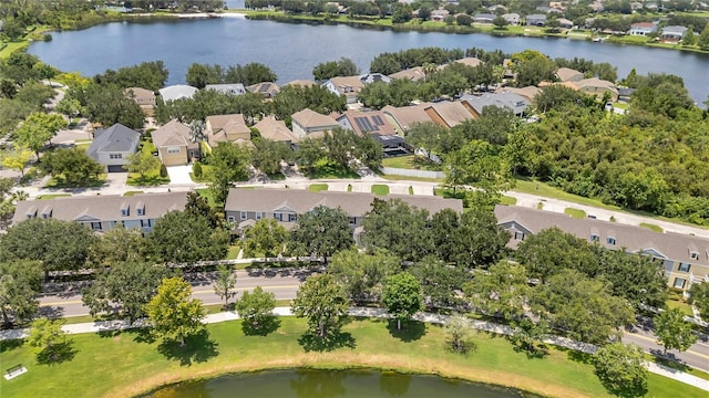 14155 Ancilla Blvd, Windermere, FL 34786 - photo 46