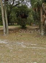 104 W Michael Gladden Blvd, Apopka, FL 32703 - photo 1