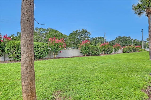 3514 Dairy Rd Unit 10, Titusville, FL 32796 - photo 40