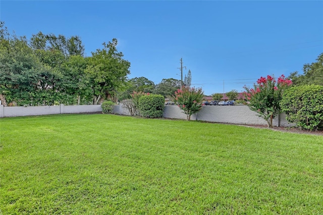 3514 Dairy Rd Unit 10, Titusville, FL 32796 - photo 44