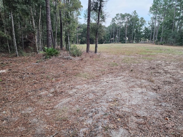 12864 SW 41st Pl, Ocala, FL 34481 - photo 3
