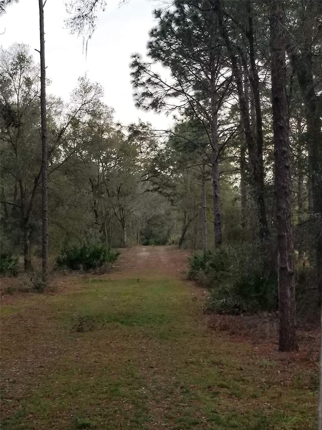 12864 SW 41st Pl, Ocala, FL 34481 - photo 6