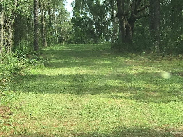 12864 SW 41st Pl, Ocala, FL 34481 - photo 14