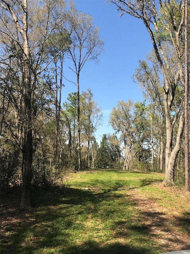 12864 SW 41st Pl, Ocala, FL 34481 - photo 15