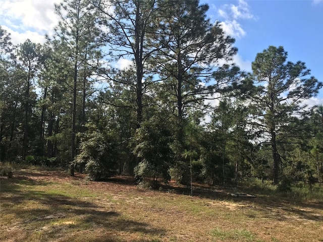 12864 SW 41st Pl, Ocala, FL 34481 - photo 16