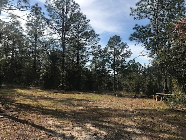 12864 SW 41st Pl, Ocala, FL 34481 - photo 19