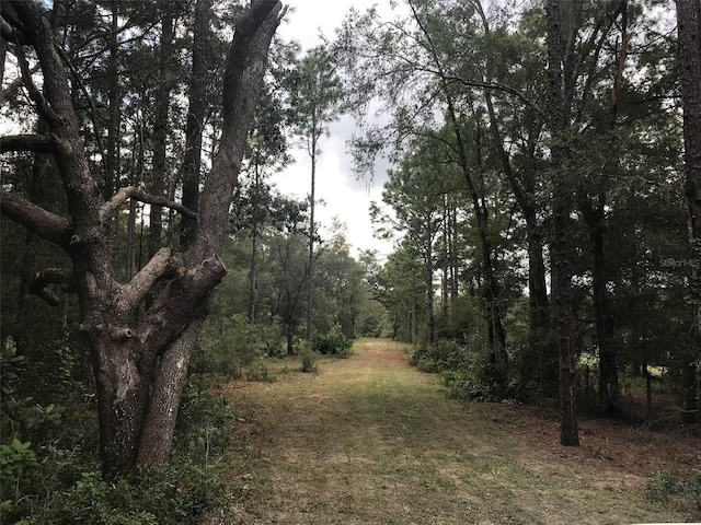 12864 SW 41st Pl, Ocala, FL 34481 - photo 12