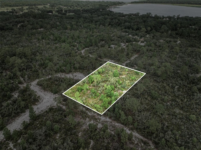 4000 Lomonico Rd, Sebring, FL 33875 - photo 4