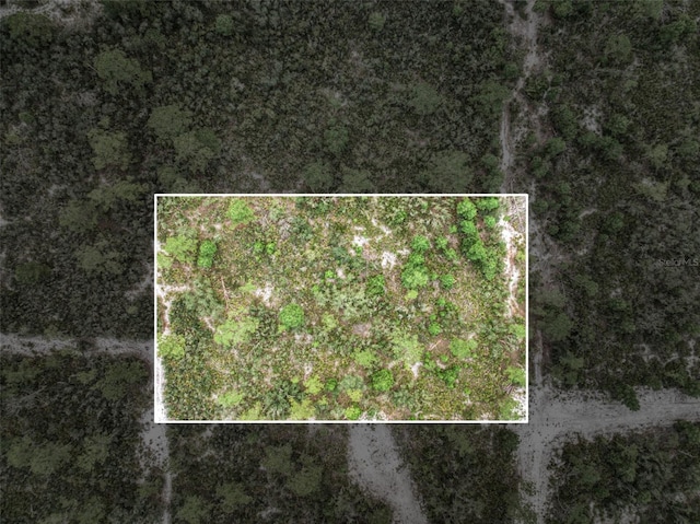 4000 Lomonico Rd, Sebring, FL 33875 - photo 5