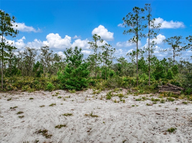 4000 Lomonico Rd, Sebring, FL 33875 - photo 6