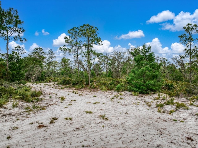 4000 Lomonico Rd, Sebring, FL 33875 - photo 7