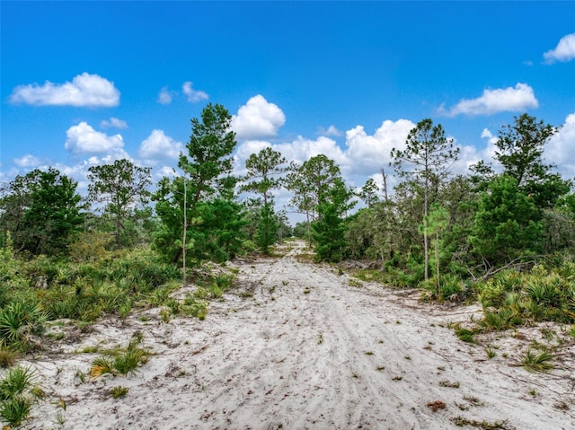 4000 Lomonico Rd, Sebring, FL 33875 - photo 8