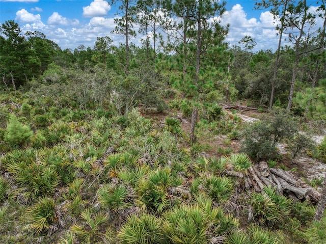 4000 Lomonico Rd, Sebring, FL 33875 - photo 9