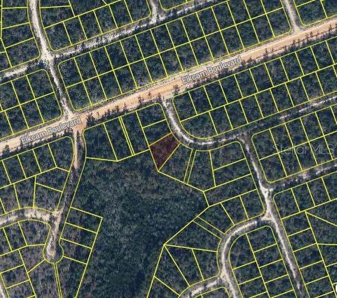 Kings Dr, Chipley, FL 32428 - photo 2