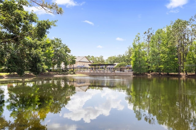 14815 Driftwater Dr, Winter Garden, FL 34787 - photo 5