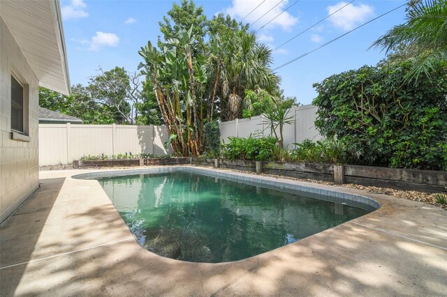 712 Eagle Ave, Longwood, FL 32750 - photo 5