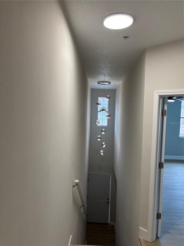 12208 Wild Iris Way Unit 112, Orlando, FL 32837 - photo 16