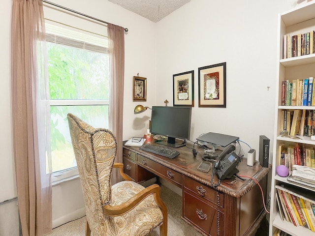 10609 Out Island Dr, Tampa, FL 33615 - photo 15
