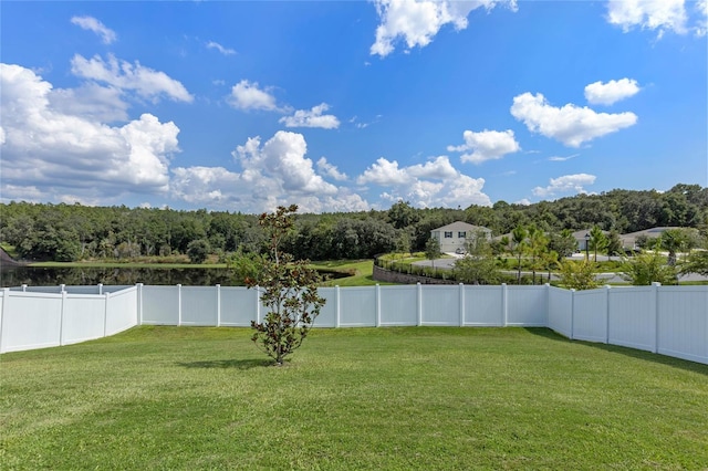 5436 Limestone St, Mount Dora, FL 32757 - photo 33