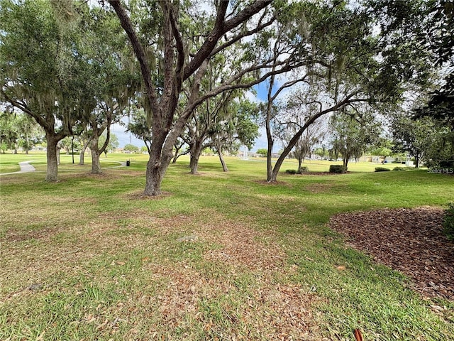 4521 Capital Blvd, Saint Cloud, FL 34769 - photo 19