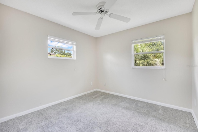 2006 Ponderosa Ave, Winter Park, FL 32792 - photo 10