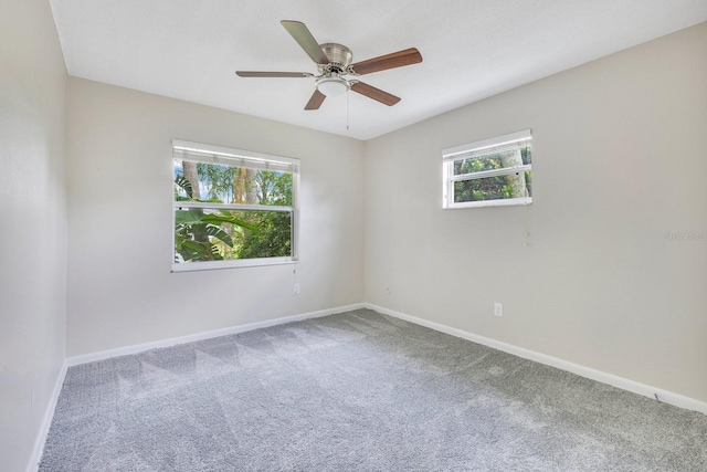 2006 Ponderosa Ave, Winter Park, FL 32792 - photo 11