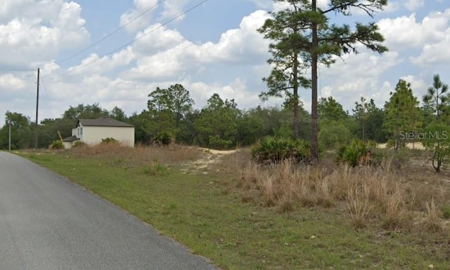 6597 N Grayton Ter, Dunnellon, FL 34433 - photo 2
