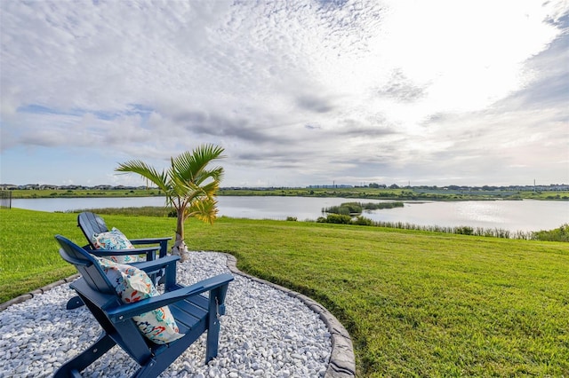 3184 Canna Lily Pl, Clermont, FL 34711 - photo 5