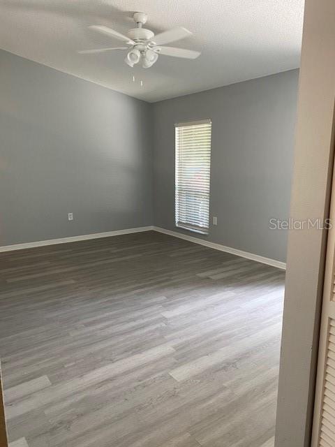 5954 Wallace Dr, Orlando, FL 32807 - photo 15