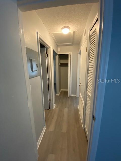 5954 Wallace Dr, Orlando, FL 32807 - photo 29