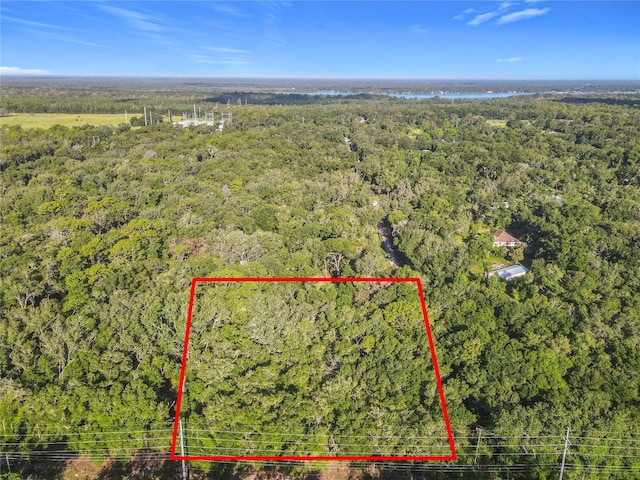 875 Stardust Way, Deland, FL 32720 - photo 1