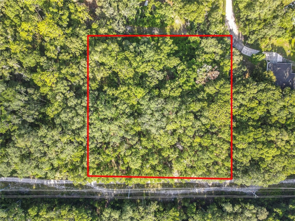 875 Stardust Way, Deland, FL 32720 - photo 2