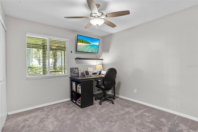 2412 Tack Room Ln Unit 2, Orlando, FL 32812 - photo 23