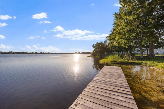 150 Killarney Bay Ct Unit 5, Winter Park, FL 32789 - photo 25