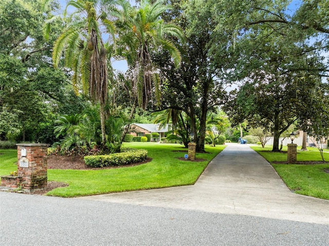 930 Arabian Ave, Winter Springs, FL 32708 - photo 2