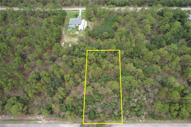 NW Smallwood Dr, Dunnellon, FL 34432 - photo 3