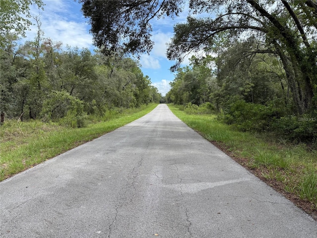 NW Smallwood Dr, Dunnellon, FL 34432 - photo 8