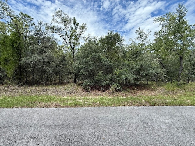 NW Smallwood Dr, Dunnellon, FL 34432 - photo 9
