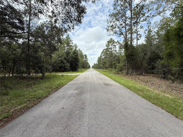 NW Smallwood Dr, Dunnellon, FL 34432 - photo 10