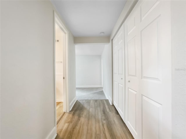 5201 72nd Way N, Saint Petersburg, FL 33709 - photo 14