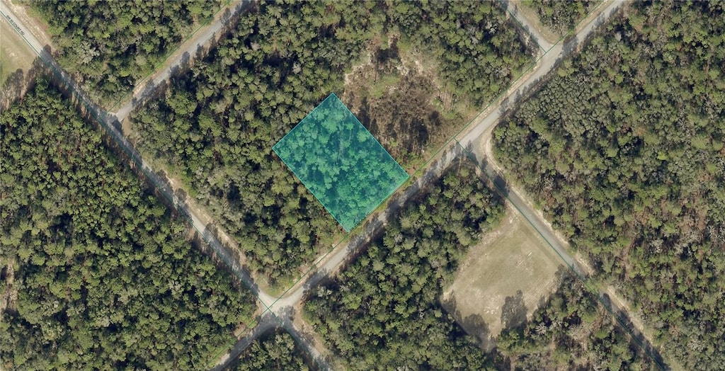 172nd Place Rd, Ocala, FL 34473 - photo 1