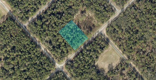 172nd Place Rd, Ocala, FL 34473 - photo 1