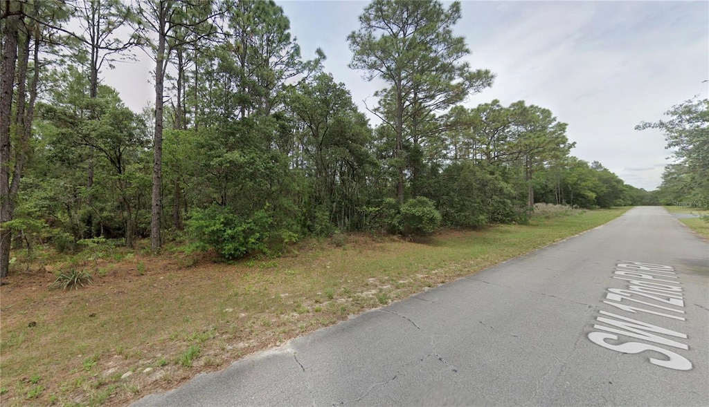 172nd Place Rd, Ocala, FL 34473 - photo 2