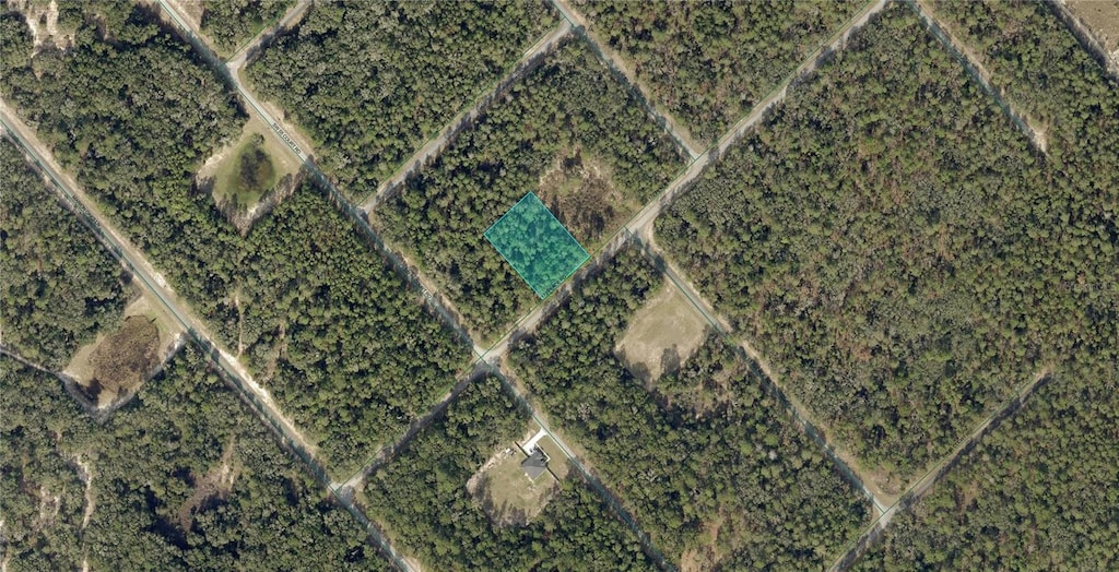 172nd Place Rd, Ocala, FL 34473 - photo 3