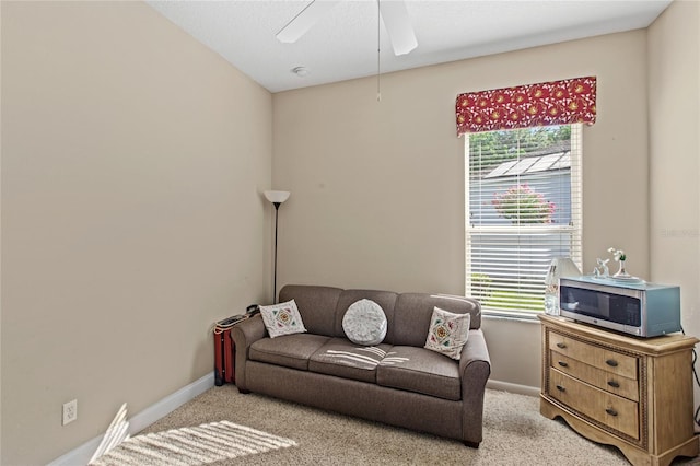 6114 Tremayne Dr, Mount Dora, FL 32757 - photo 22