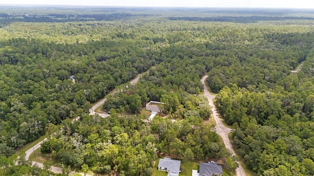 661 E Vercelli Ln, Dunnellon, FL 34434 - photo 54