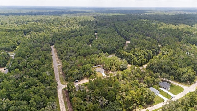 661 E Vercelli Ln, Dunnellon, FL 34434 - photo 56