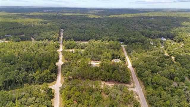 661 E Vercelli Ln, Dunnellon, FL 34434 - photo 58
