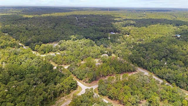 661 E Vercelli Ln, Dunnellon, FL 34434 - photo 59